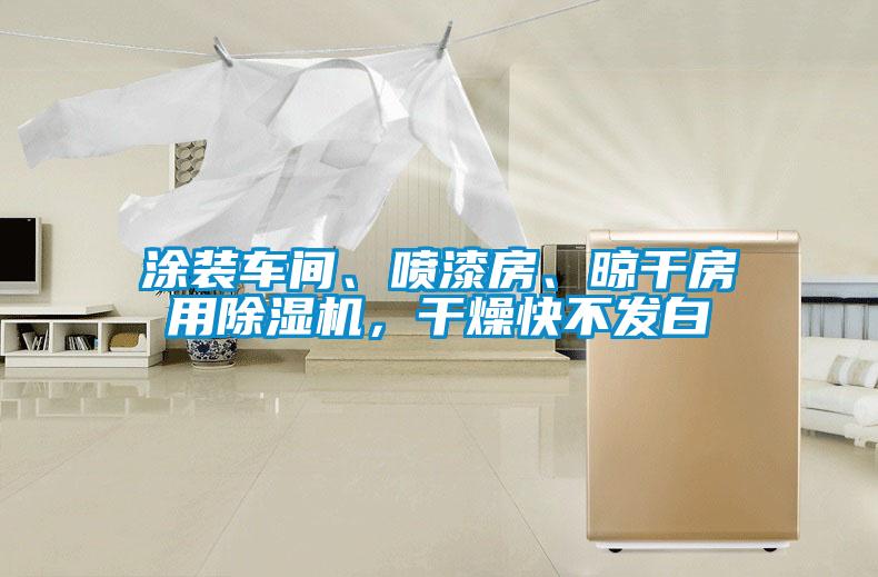 涂裝車間、噴漆房、晾干房用除濕機，干燥快不發白