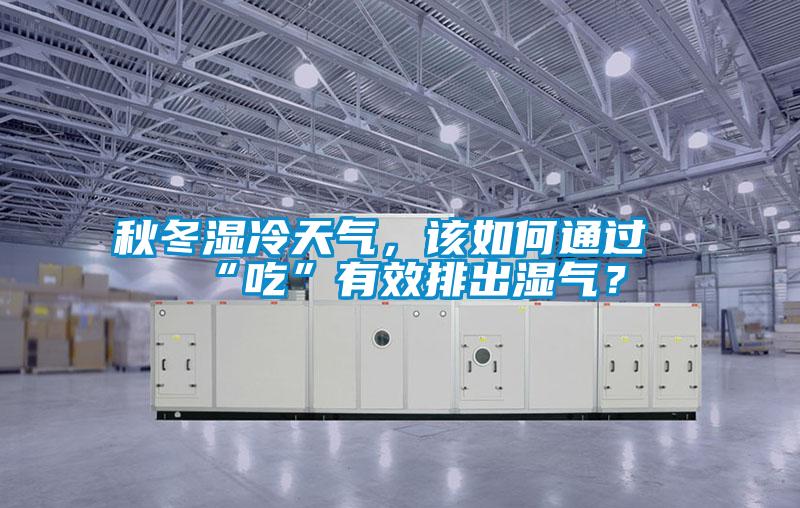 秋冬濕冷天氣，該如何通過“吃”有效排出濕氣？