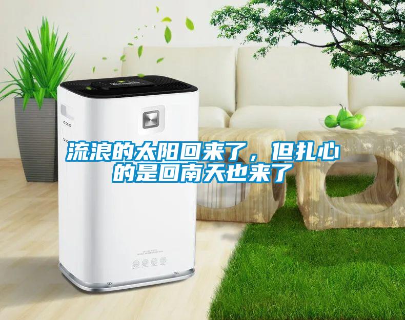 流浪的太陽回來了，但扎心的是回南天也來了
