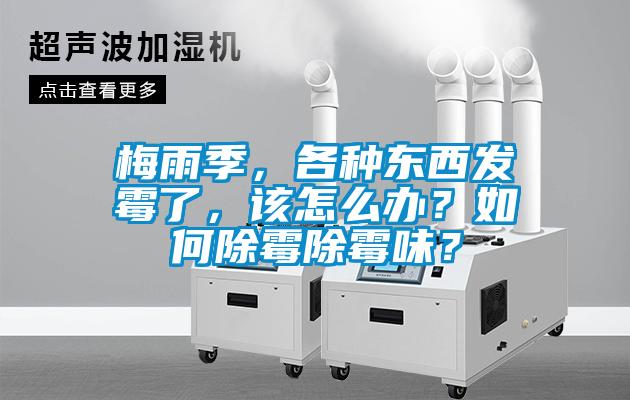 梅雨季，各種東西發霉了，該怎么辦？如何除霉除霉味？