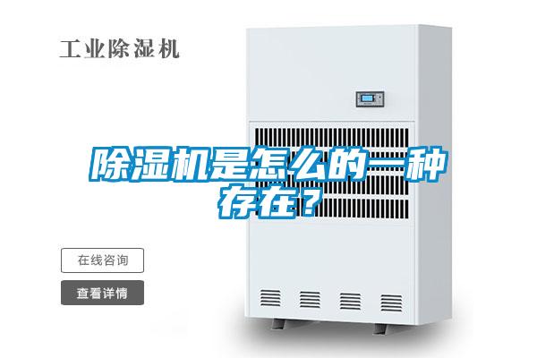 除濕機是怎么的一種存在？
