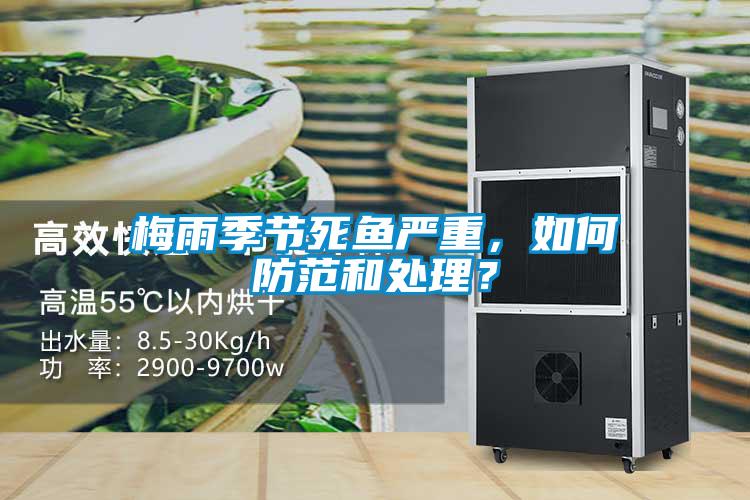 梅雨季節死魚嚴重，如何防范和處理？