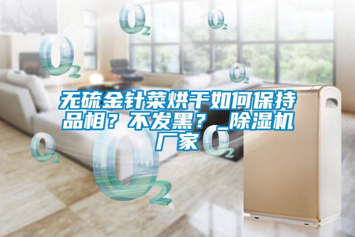 無硫金針菜烘干如何保持品相？不發黑？_除濕機廠家