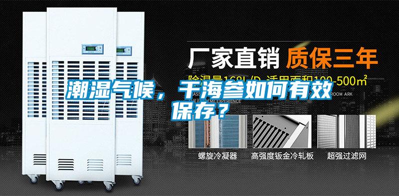潮濕氣候，干海參如何有效保存？