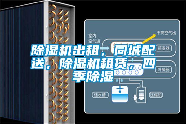 除濕機出租，同城配送，除濕機租賃，四季除濕