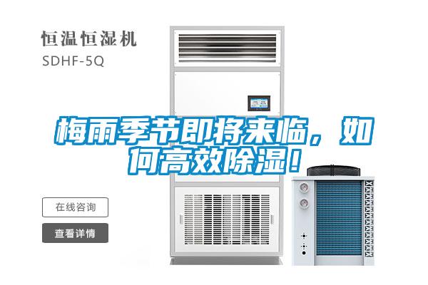 梅雨季節即將來臨，如何高效除濕！