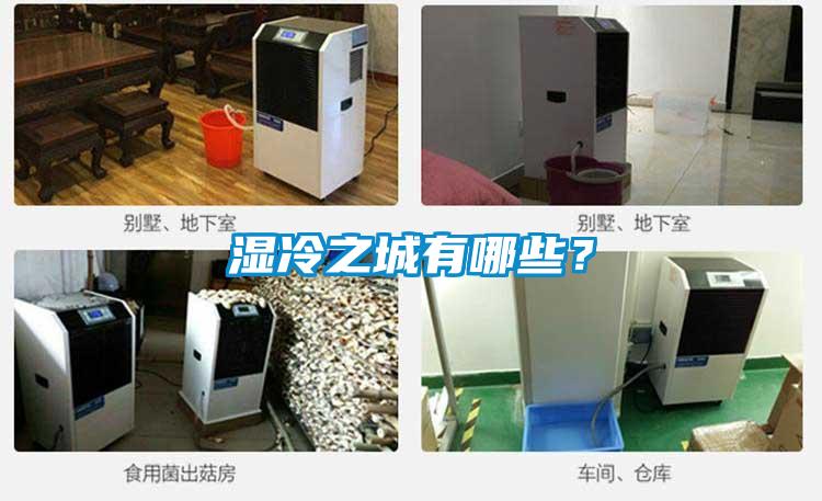 濕冷之城有哪些？