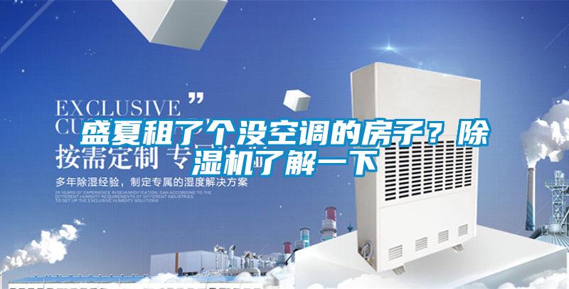 盛夏租了個沒空調的房子？除濕機了解一下