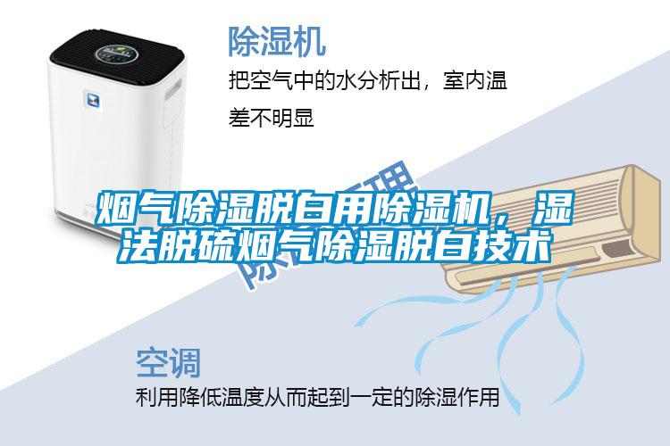 煙氣除濕脫白用除濕機，濕法脫硫煙氣除濕脫白技術