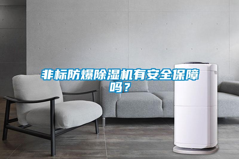 非標防爆除濕機有安全保障嗎？