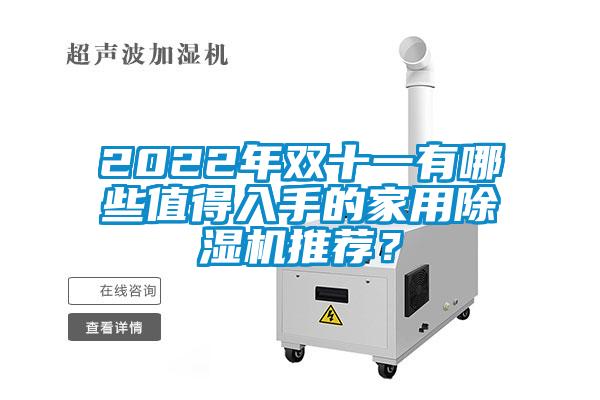 2022年雙十一有哪些值得入手的家用除濕機推薦？
