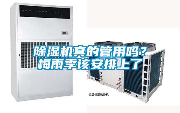 除濕機真的管用嗎？梅雨季該安排上了