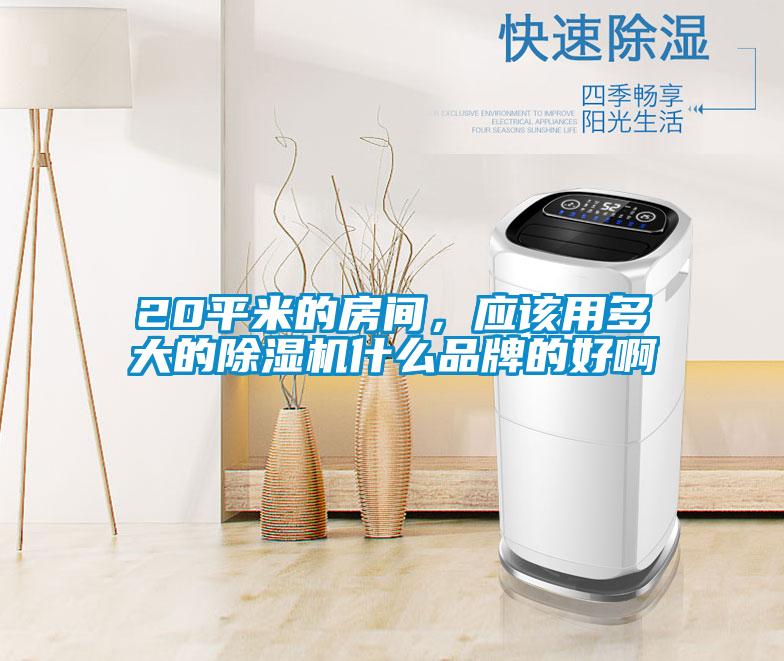 20平米的房間，應該用多大的除濕機什么品牌的好啊