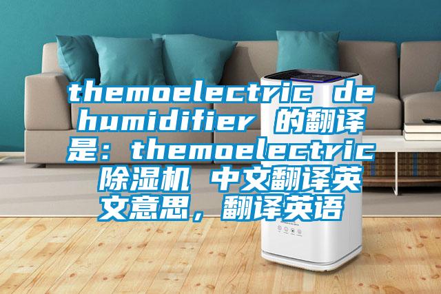 themoelectric dehumidifier 的翻譯是：themoelectric 除濕機 中文翻譯英文意思，翻譯英語