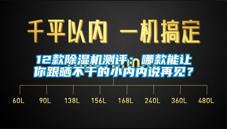 12款除濕機測評：哪款能讓你跟曬不干的小內內說再見？