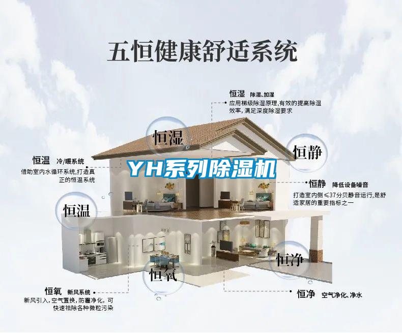 YH系列除濕機