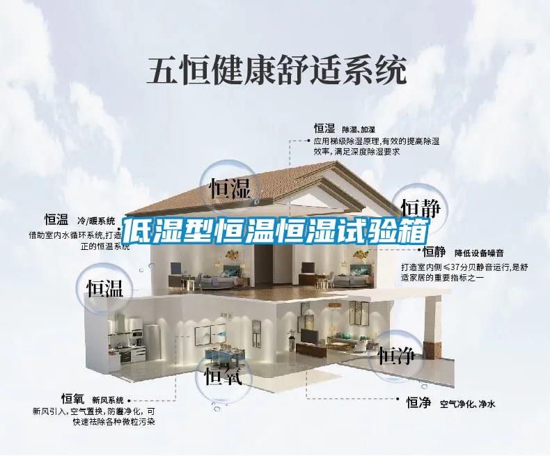 低濕型恒溫恒濕試驗箱