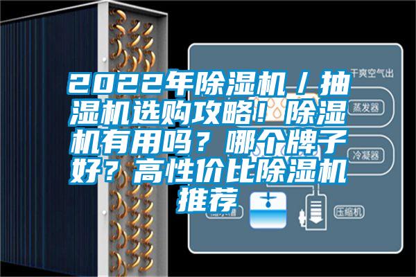 2022年除濕機／抽濕機選購攻略！除濕機有用嗎？哪個牌子好？高性價比除濕機推薦