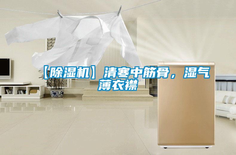 【除濕機】清寒中筋骨，濕氣薄衣襟