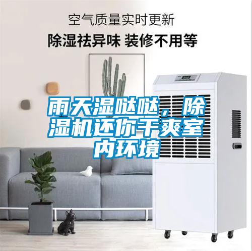 雨天濕噠噠，除濕機還你干爽室內環境