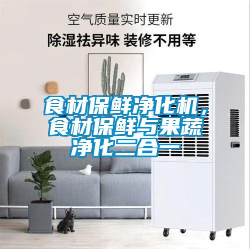 食材保鮮凈化機，食材保鮮與果蔬凈化二合一