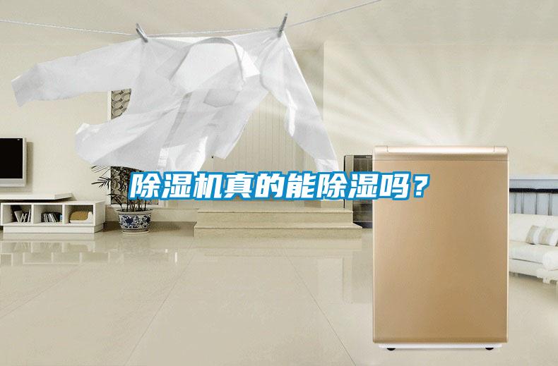除濕機真的能除濕嗎？
