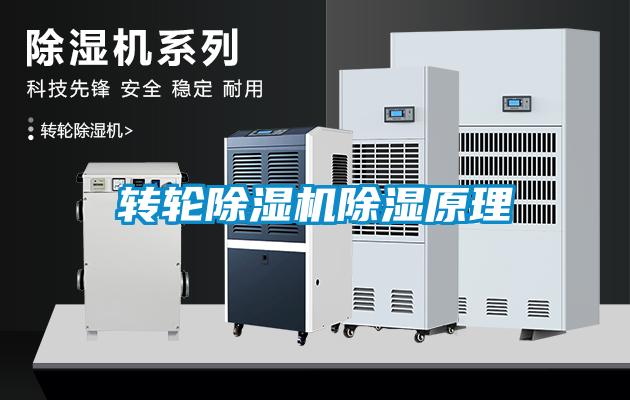 轉輪除濕機除濕原理