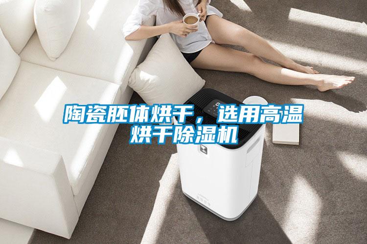 陶瓷胚體烘干，選用高溫烘干除濕機