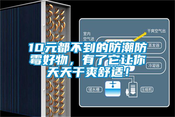 10元都不到的防潮防霉好物，有了它讓你天天干爽舒適！