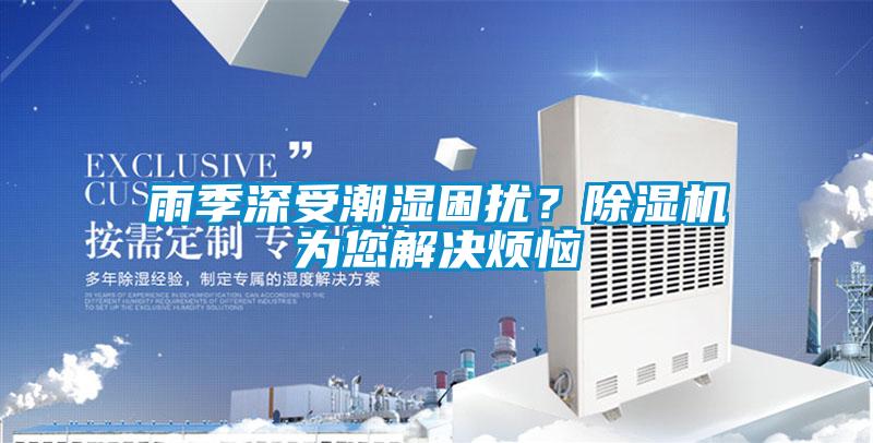 雨季深受潮濕困擾？除濕機為您解決煩惱
