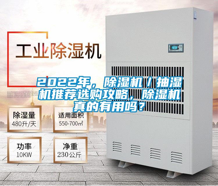 2022年，除濕機／抽濕機推薦選購攻略，除濕機真的有用嗎？
