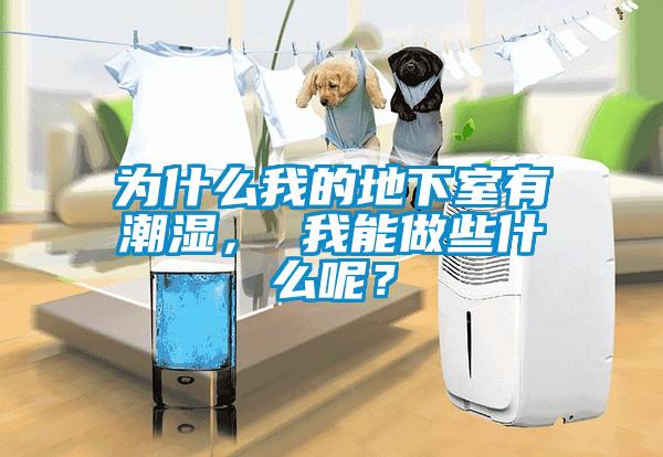 為什么我的地下室有潮濕， 我能做些什么呢？