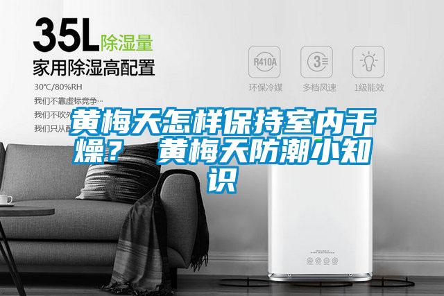黃梅天怎樣保持室內干燥？ 黃梅天防潮小知識