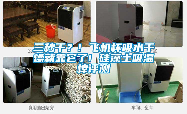 三秒干？! 飛機杯吸水干燥就靠它了! 硅藻土吸濕棒評測