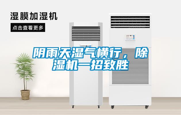 陰雨天濕氣橫行，除濕機一招致勝