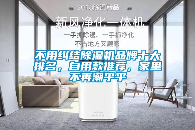 不用糾結除濕機品牌十大排名，自用款推薦，家里不再潮乎乎