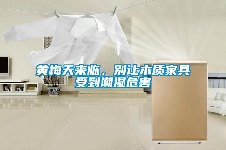 黃梅天來臨，別讓木質家具受到潮濕危害