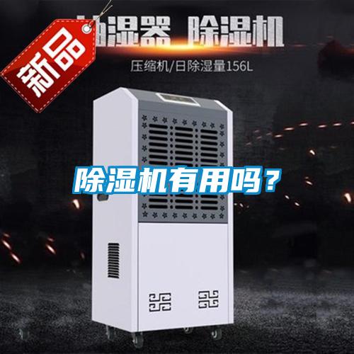 除濕機有用嗎？