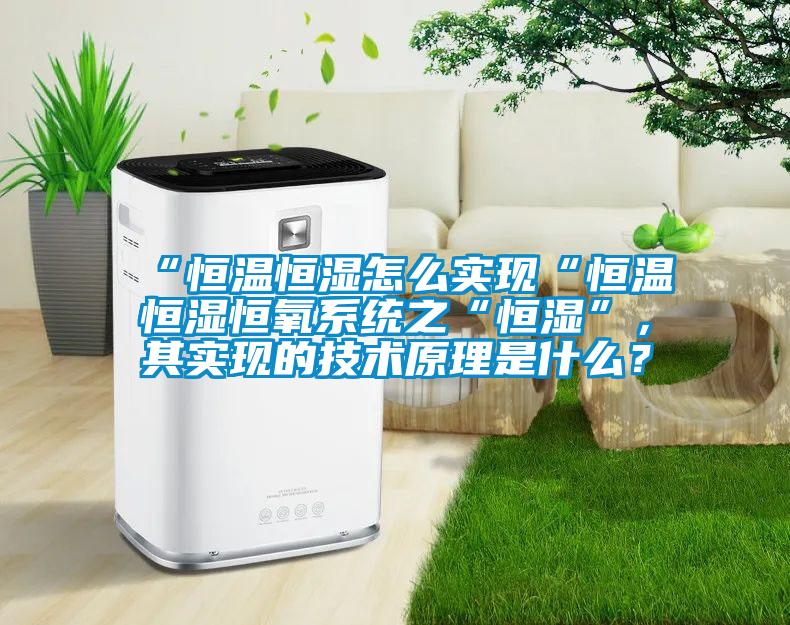 “恒溫恒濕怎么實現“恒溫恒濕恒氧系統之“恒濕”，其實現的技術原理是什么？