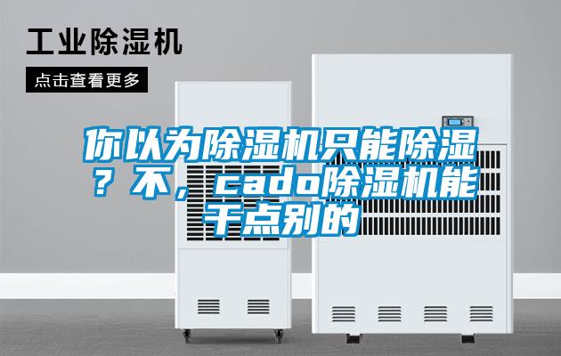 你以為除濕機只能除濕？不，cado除濕機能干點別的