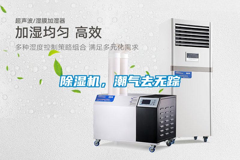 除濕機，潮氣去無蹤
