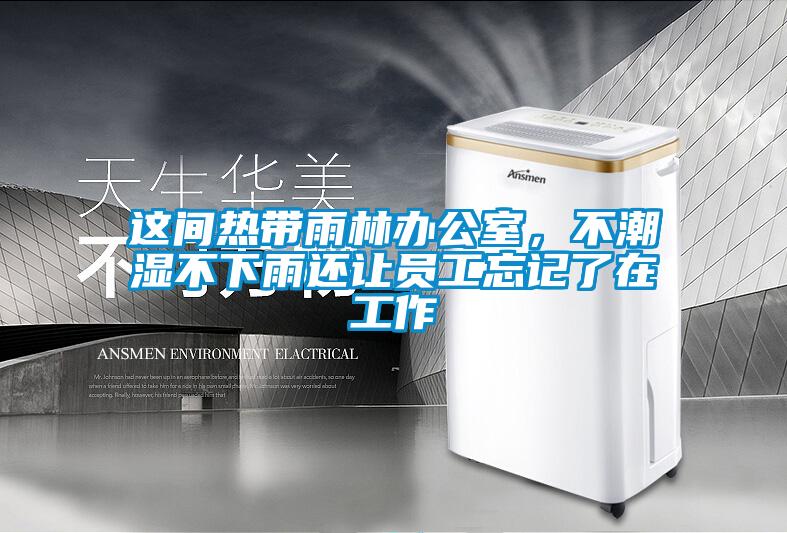 這間熱帶雨林辦公室，不潮濕不下雨還讓員工忘記了在工作