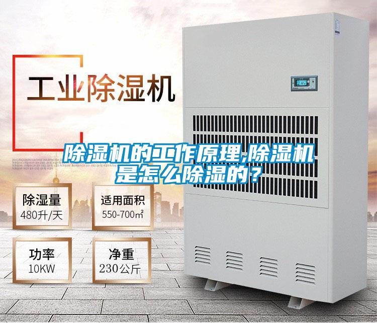 除濕機的工作原理,除濕機是怎么除濕的？