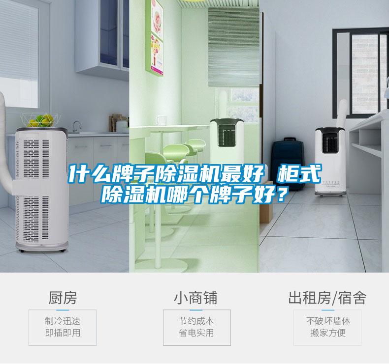 什么牌子除濕機最好 柜式除濕機哪個牌子好？