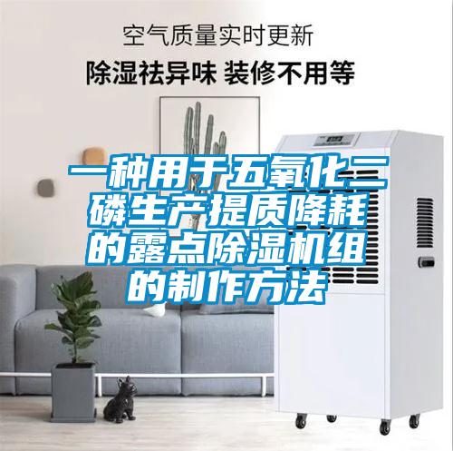 一種用于五氧化二磷生產提質降耗的露點除濕機組的制作方法