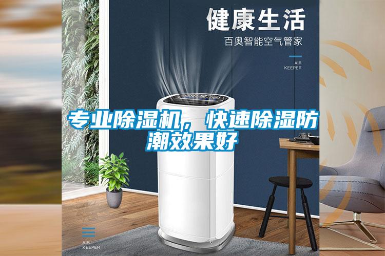 專業除濕機，快速除濕防潮效果好