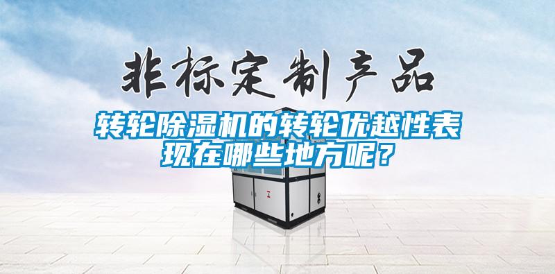 轉輪除濕機的轉輪優越性表現在哪些地方呢？