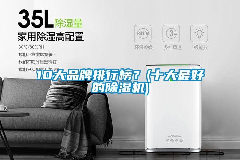 10大品牌排行榜？(十大最好的除濕機)
