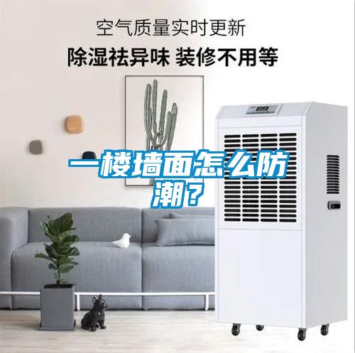 一樓墻面怎么防潮？