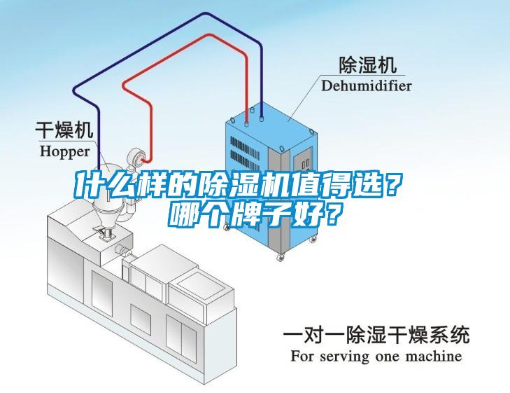 什么樣的除濕機值得選？ 哪個牌子好？